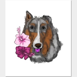 Rough collie with hibiscus flowers Posters and Art